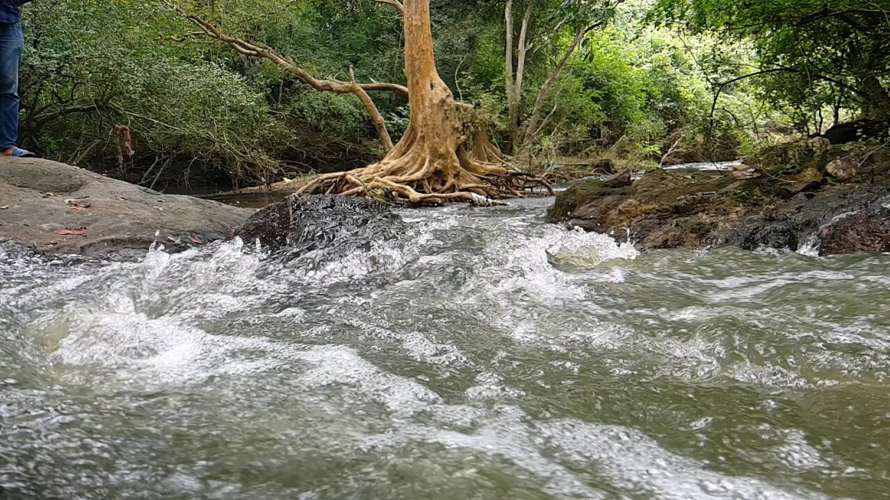 Falling Water | Relaxing Nature Sound & Scenic View