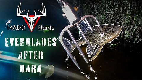 Everglades After Dark // Gigging for fish in Florida MADD Hunts 4K