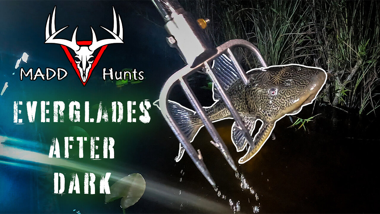 Everglades After Dark // Gigging for fish in Florida MADD Hunts 4K