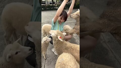 funny animals compilation #funnyanimals #animals #pets #shorts
