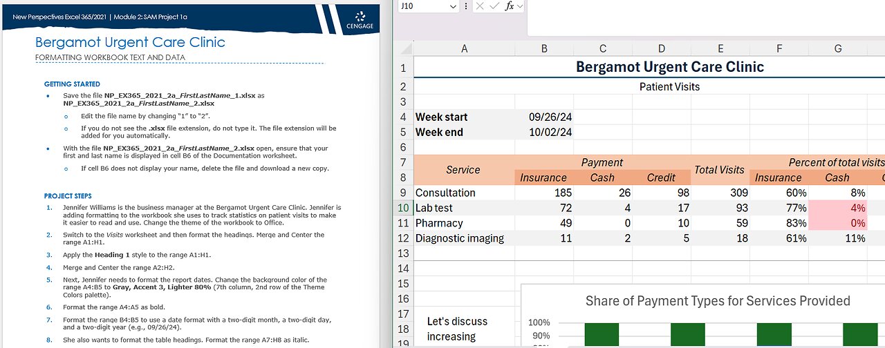 New Perspectives Excel 365/2021 | Module 2: SAM Project 1a | Bergamot Urgent Care Clinic (Full 2025)