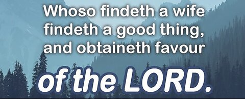 He that FINDETH a WIFE...