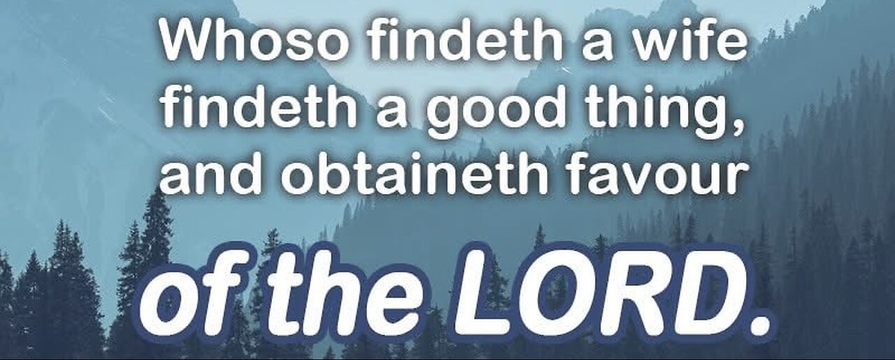 He that FINDETH a WIFE...