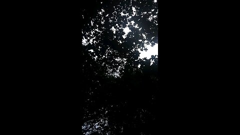 Natural view