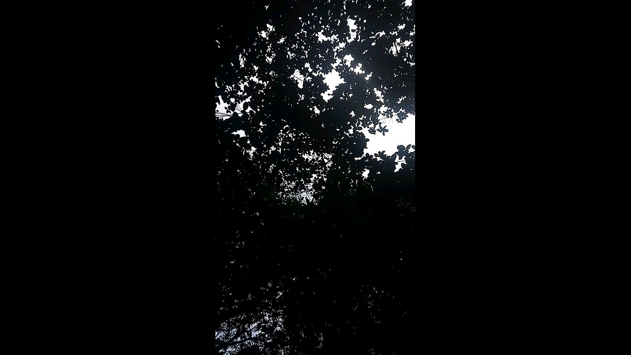 Natural view