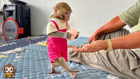 Monkey baby YiYi obediently prepares breakfast for grandpa and friends