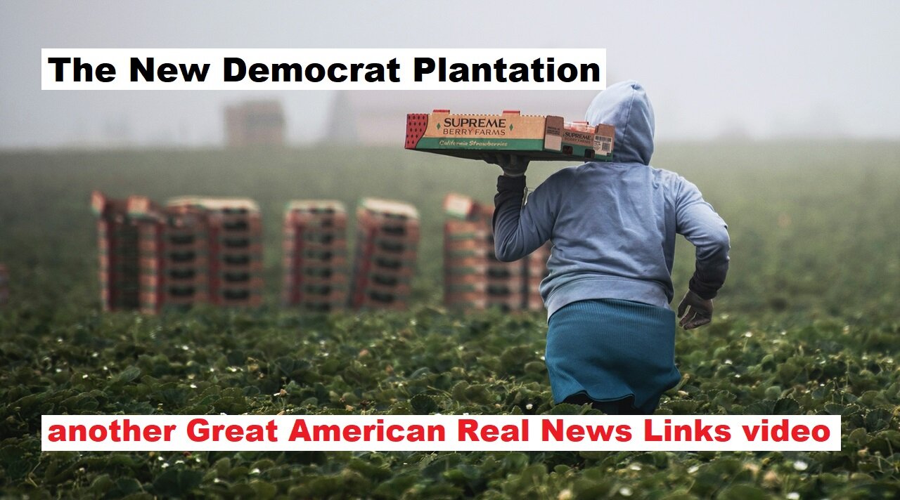The New Democrat Plantation