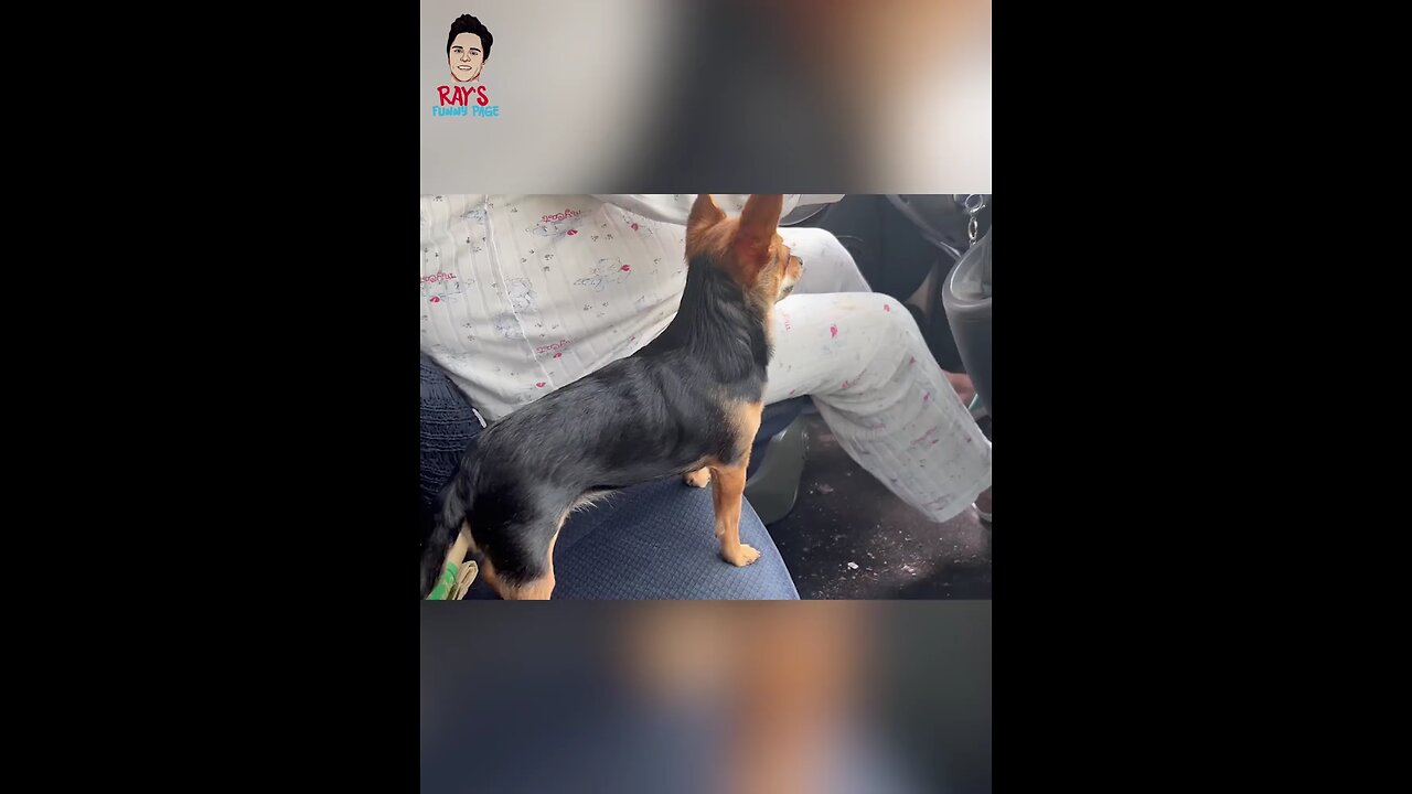chota pack bada dhamaka