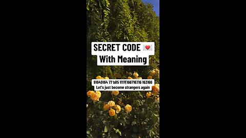 Secret code with meaning 91649164 77 b85 1117(166716716 163166