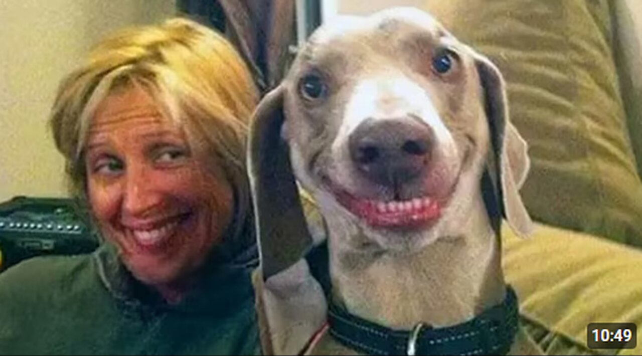 Animals Doing Silly Things and Imitating Humans 😂 Funny Animal Videos 2025