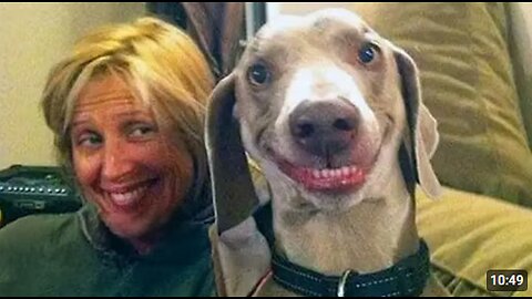 Animals Doing Silly Things and Imitating Humans 😂 Funny Animal Videos 2025