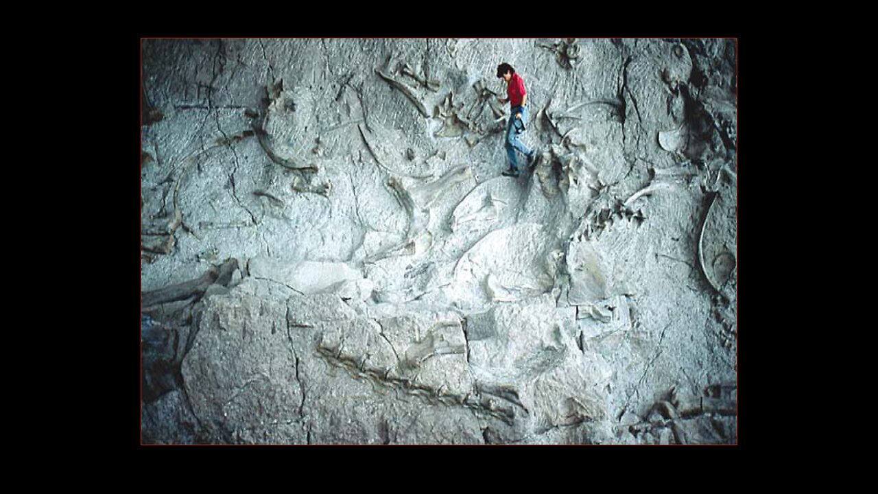 Dinosaur National Monument (Part#2)
