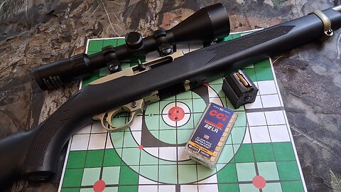 Ruger 10/22 with CCI Velocitors. Getting ready for squirrel season '25-'26.