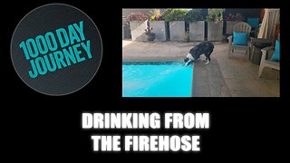 1000 Day Journey 0718 Drinking from the Firehose
