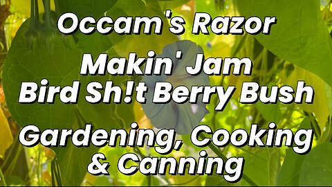 Makin’ Jam – Bird Shit Berry Bush - Occam’s Razor Gardening, Cooking & Canning