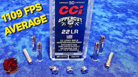 “CCI Uppercut .22LR: The Ultimate Game Changer in Rimfire Ammo!” ammo review