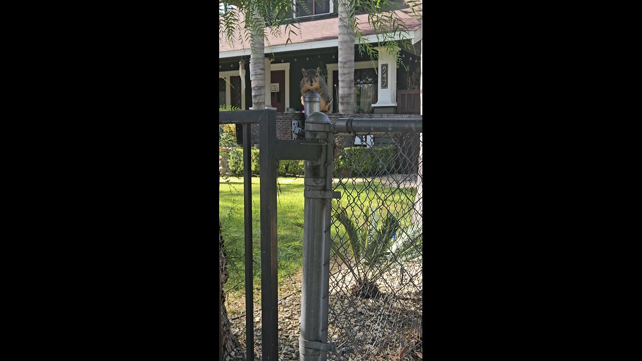 Have a wonderful blessed weekend 🌹❤️