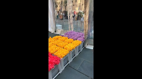 ROCKEFELLER FLOWER DAY