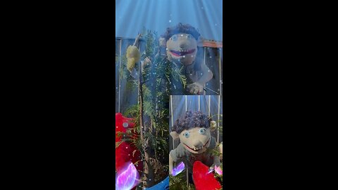 Wishing Tree Cover
