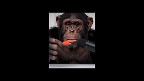 ASMR eating sounds