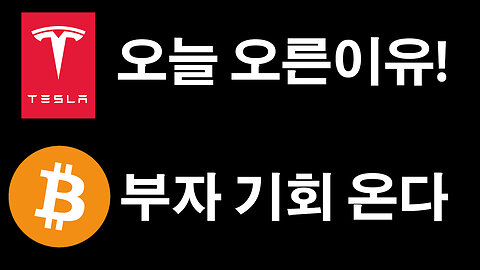 오늘 테슬라 오른이유, 비트코인 바닥은 어디인가? #테슬라 #비트코인