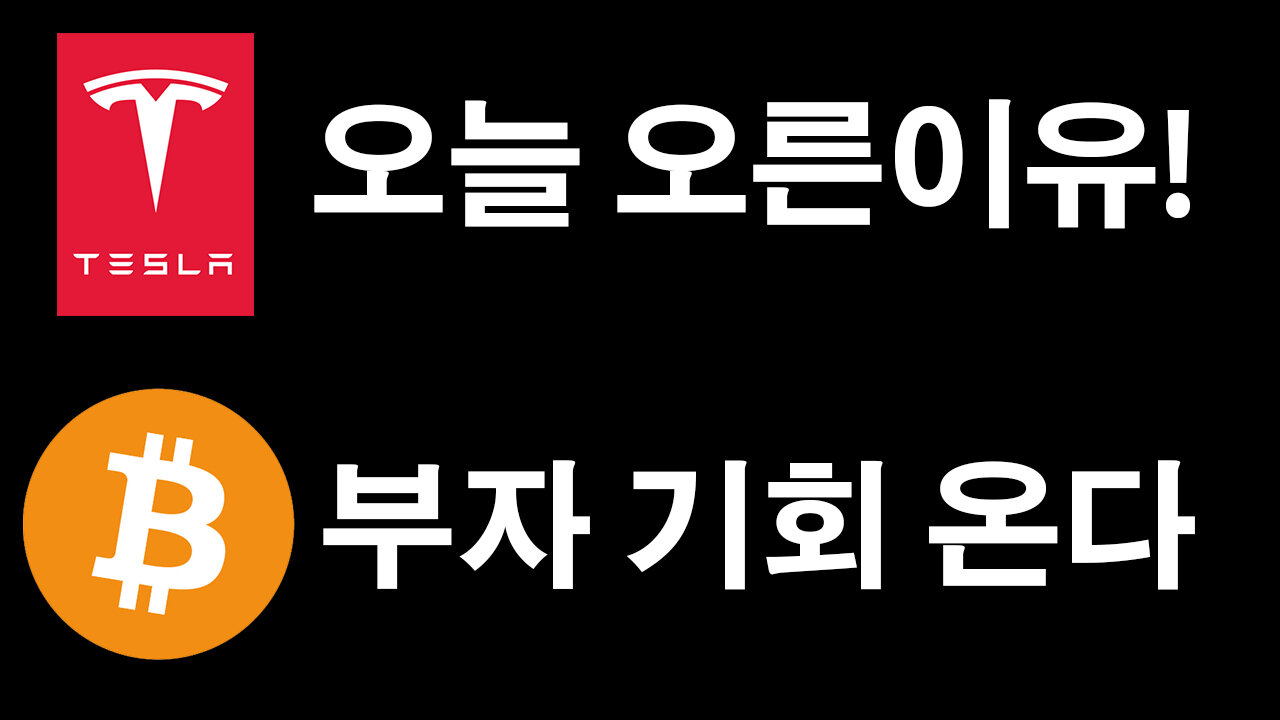 오늘 테슬라 오른이유, 비트코인 바닥은 어디인가? #테슬라 #비트코인