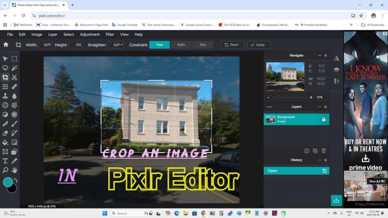 Crop an image in Pixlr Editor