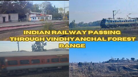 rhythmic chug of the train amidst nature’s embrace. #Viral #Trending #IndianRailways #Vindhyachal