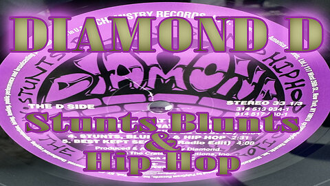 Diamond D - Stunts Blunts & Hip Hop - Karaoke