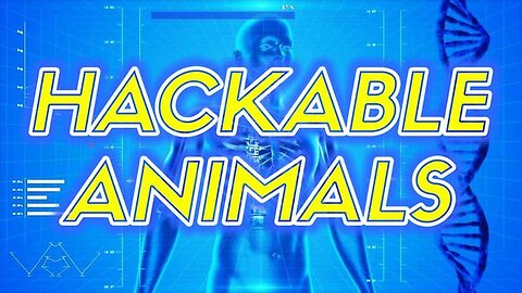 "Unveiling the Reality: Can Humans Really Be Hacked Like Computers?"