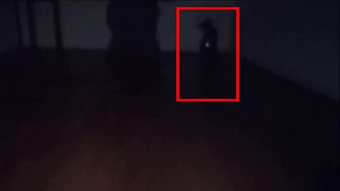 Mysterious Dwarf or strange creature was captured on camera in a house - Scary videos