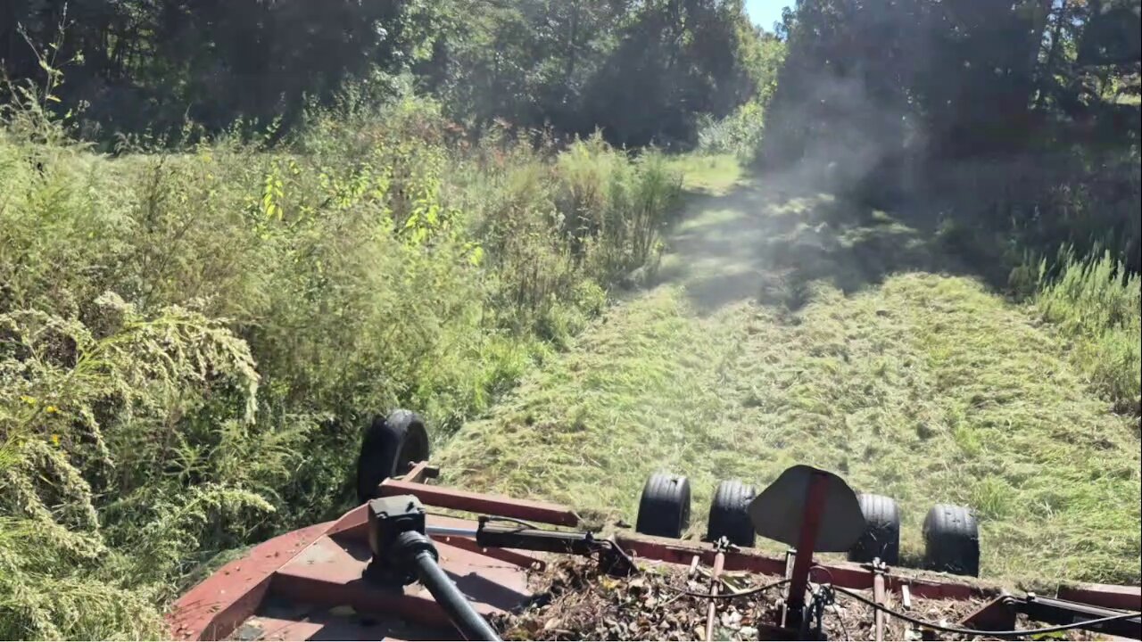 BUSH HOGGIN FOR CHILDREN EP-2