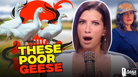 Is Michigan Really GASSING Their Geese To Death?!