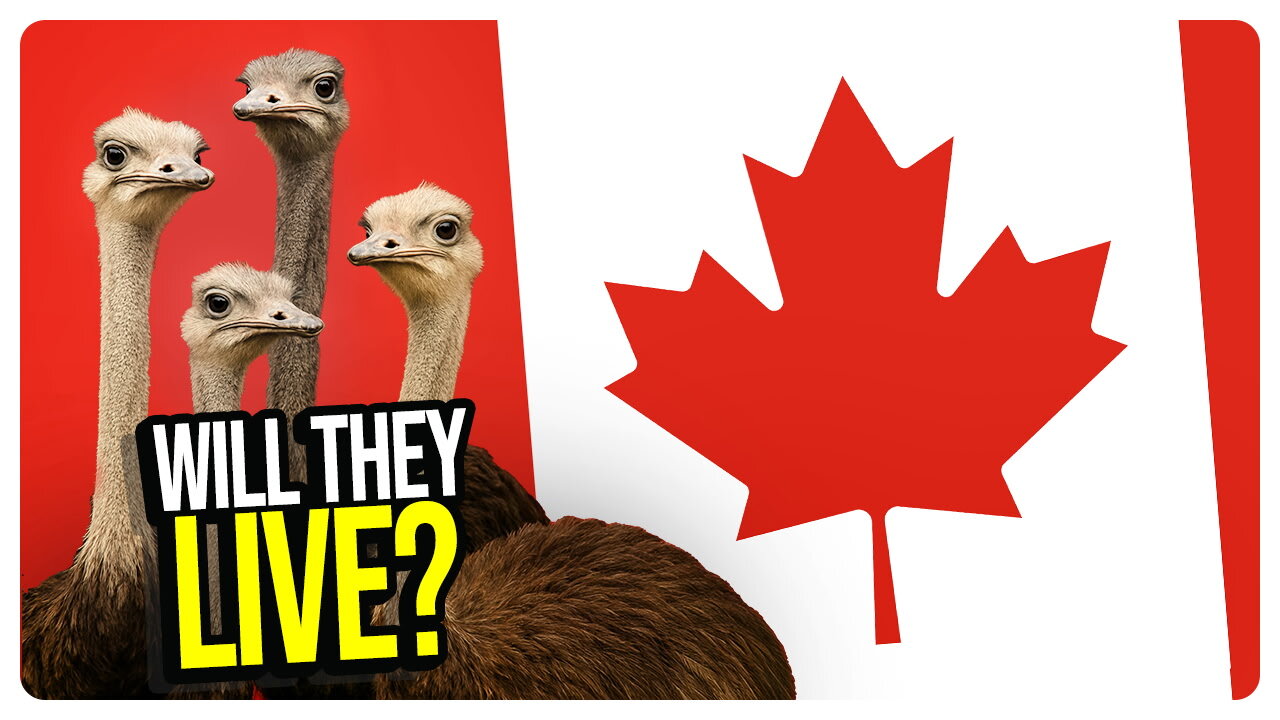 Ostrich Standoff Continues with GOOD NEWS? Shooting at ICE Facility! AND MORE!