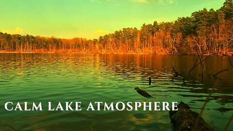 Lakeside Calm • Gentle Water Movement & Birds in the Distance | Nature Soundscape
