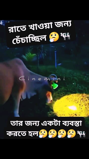 NEWSMAX2 LIVE | Real News for Real People? Too funny!How cute is that.. | Please Follow me