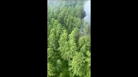 Plane with 49 people crashes in Russia's Far East