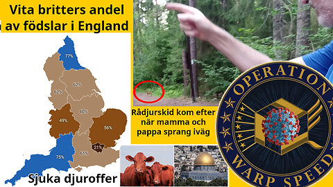 Ebba dyrkar djuroffrare? Narrativet & Maduro. Massie+MTG hotar judelobbyin. Flock-lögnen. Bra tankar