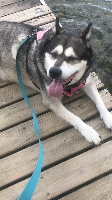 Saturday August 23, those who live in the shelter of the most high ￼