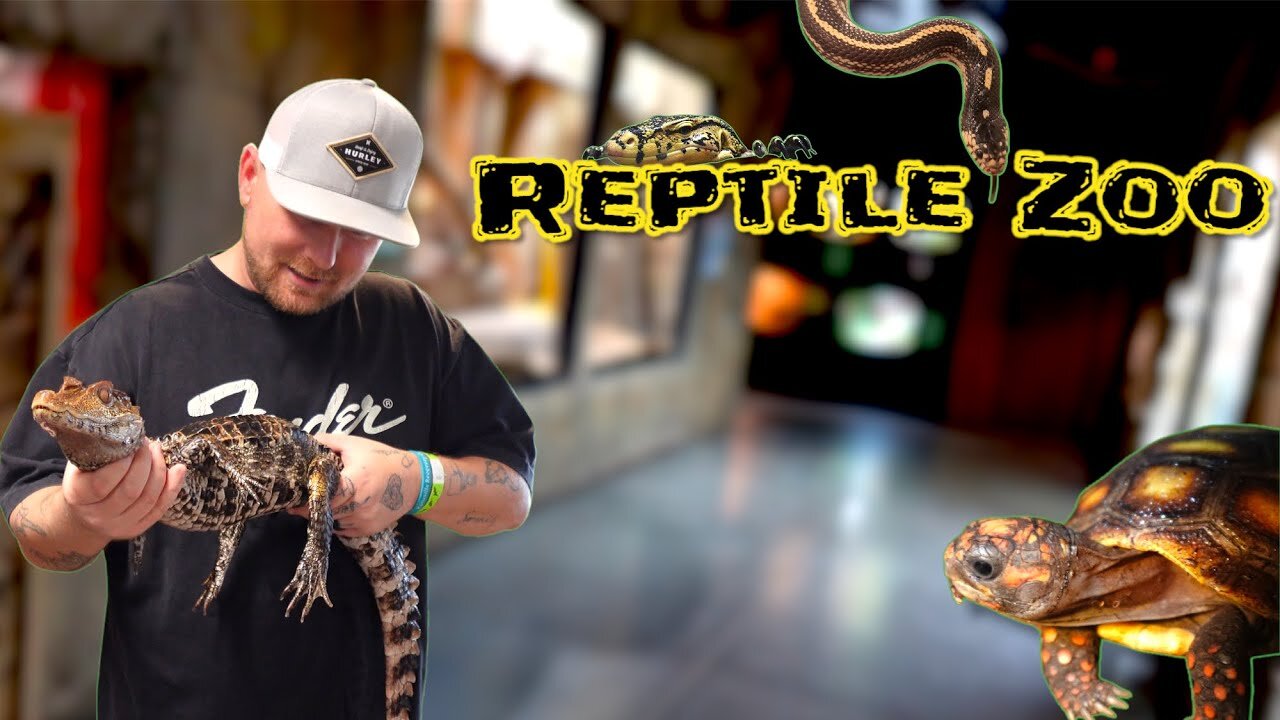 Reptile Zoo and an Awesome Surprise.