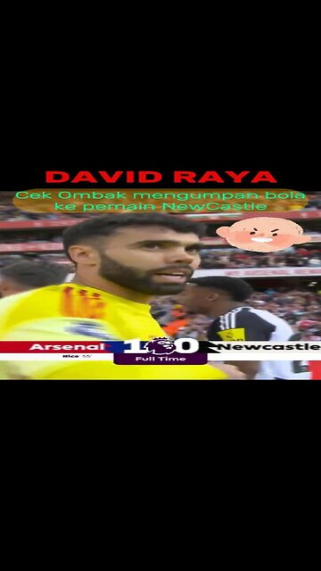 Arsenal-New Castle 1-0