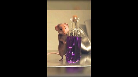 Mouse's Revenge Witches Meet Their Doom