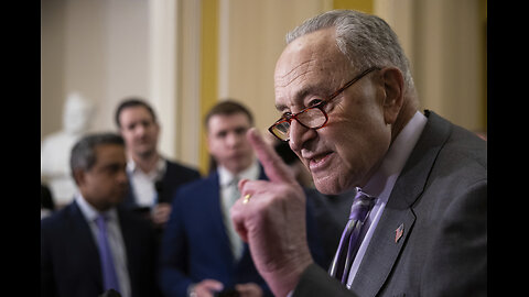 Dems in meltdown mode after Schumer folds in shutdown standoff: 'He caved'