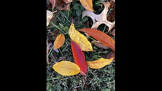 SOURCE(s) FOUND & KNOWN 🎯