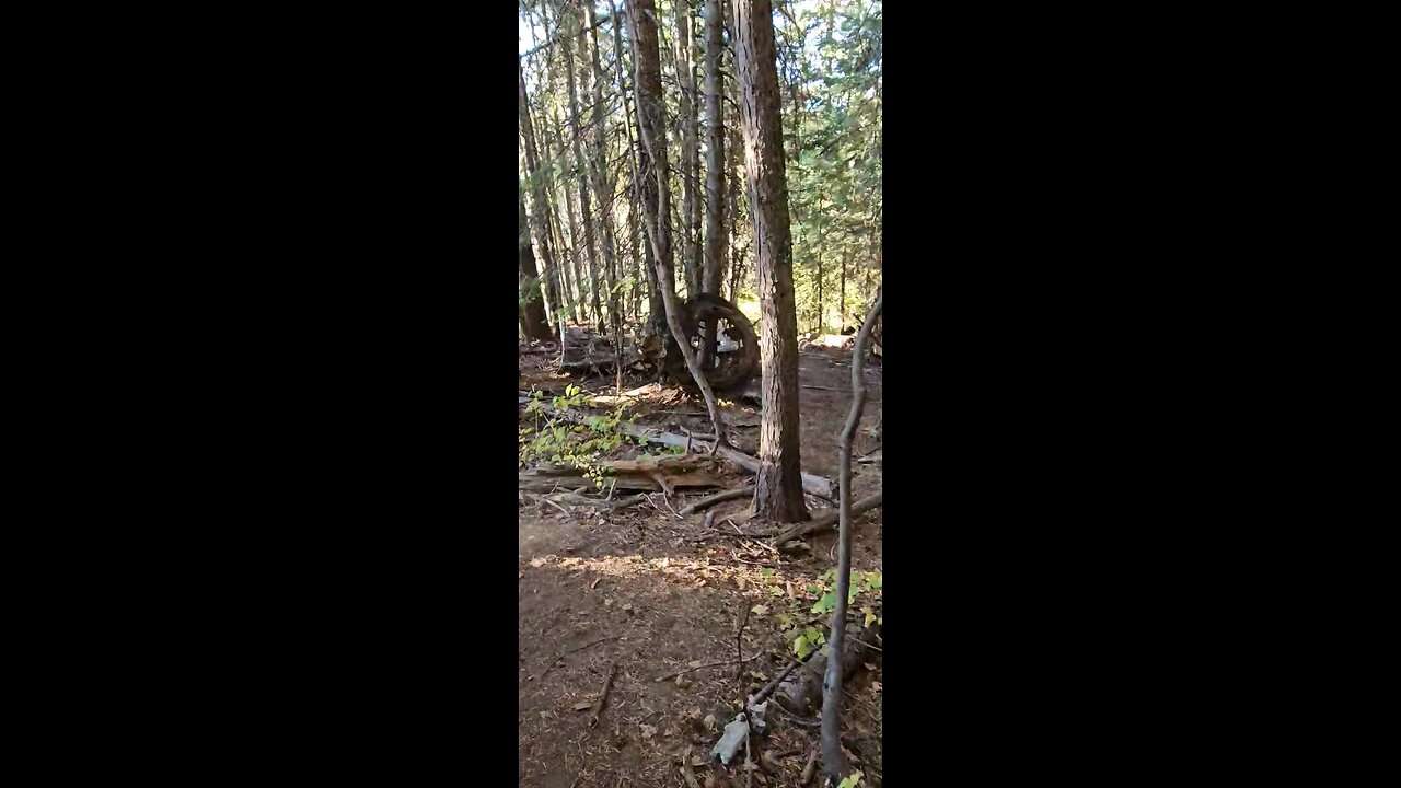 plane crash in the blues