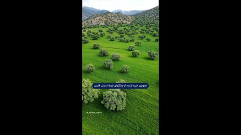 persian song