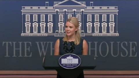 Karoline Leavitt: It's Insane An MSNBC Host Said Black Americans Will Be Deported Next