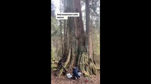 Plants see & talk in ways we don't understand & are connected via underground internet called "roots"