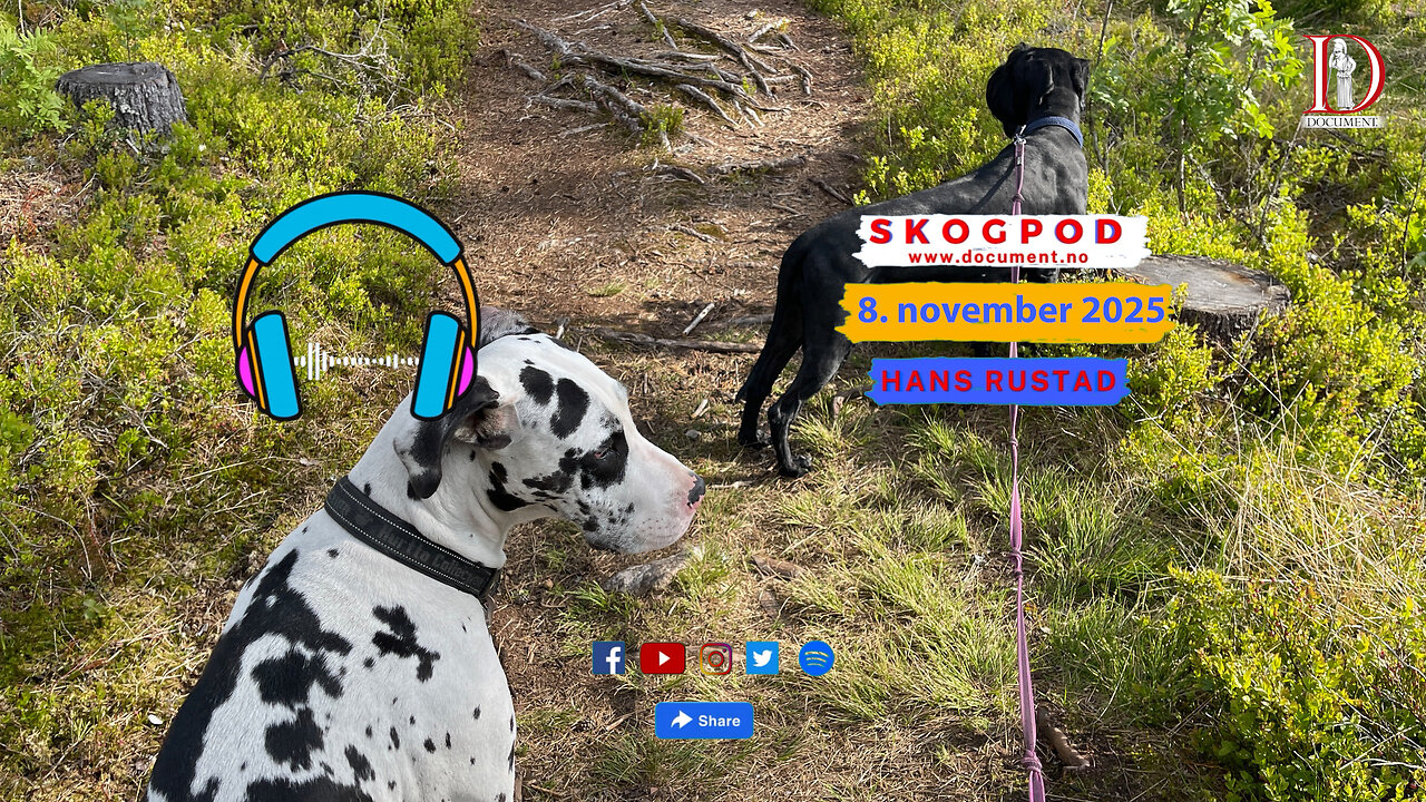 Skogpod 8. november 2025