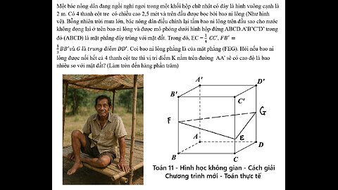 Toán 11-12: Một bác nông dân đang ngồi nghỉ ngơi trong một khối hộp chữ nhật có đáy là hình